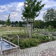 Wassertretbecken im Kneipp-Park Wendisch Rietz