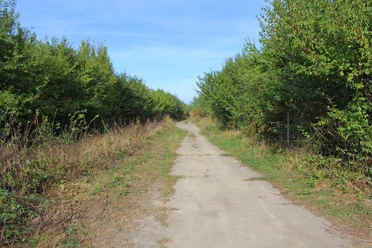 Station 4: Triftweg