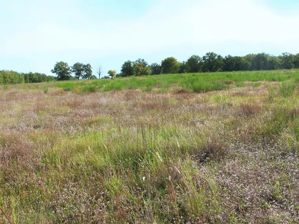 Station 14: Döberitzer Heide