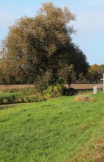 Station 9b: Schöpfwerk/ Wasser in der Landschaft