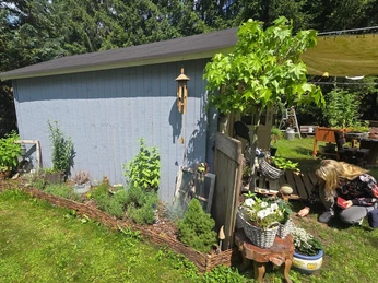 Honigstube Silke Linder