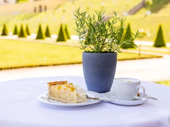 Kaffee und Kuchen in der Orangerie im Barockgarten