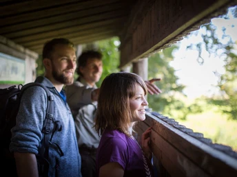 Birdwatching an den Altfriedländer Teichen