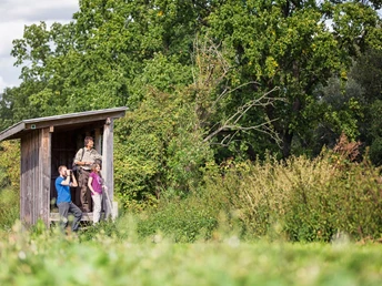 Birdwatching an den Altfriedländer Teichen