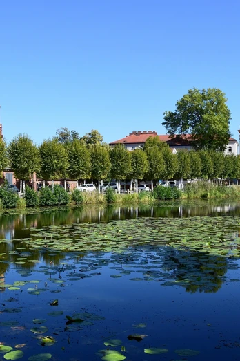 Birdwatching an der Oder bei Neuzelle
