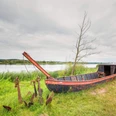 Alter Kahn in der Oderbruch Landschaft bei Zollbrücke