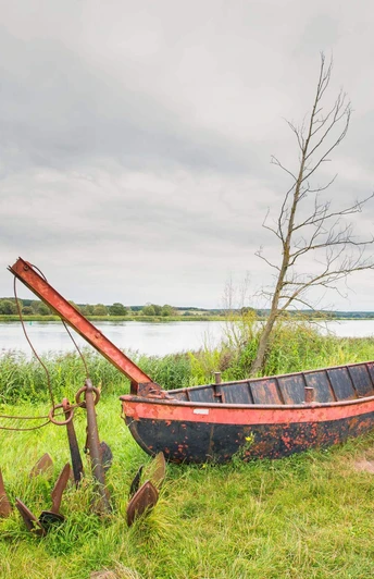 Alter Kahn in der Oderbruch Landschaft bei Zollbrücke