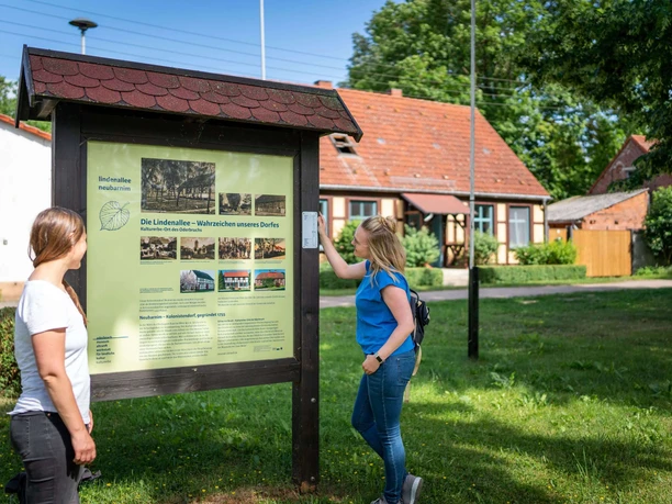 Lindenallee Neubarnim