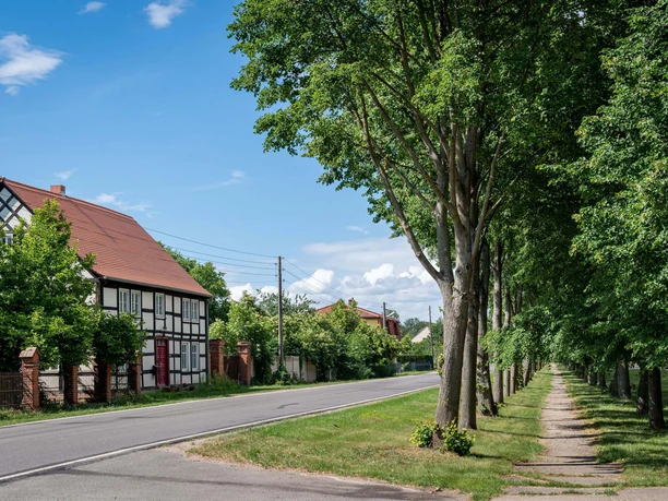 Lindenallee Neubarnim