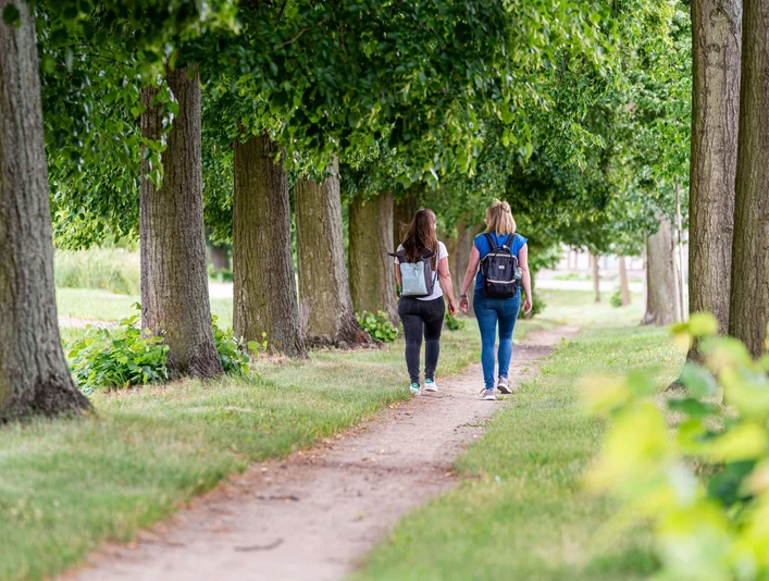 Lindenallee Neubarnim