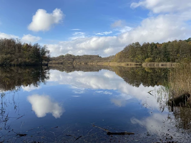 Karutzsee entlang der Märkischen Runde in Erkner