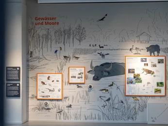 Eines der fünf Wandbilder