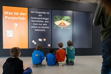 interaktive Quizwand