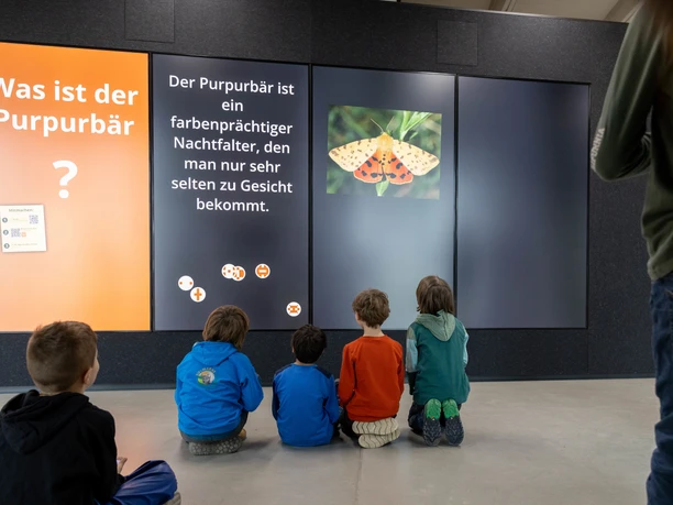 interaktive Quizwand