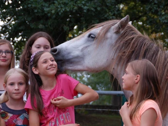 Pferde und Kinder interagieren auf dem Camargue-Pferde-Hof Wesendahl