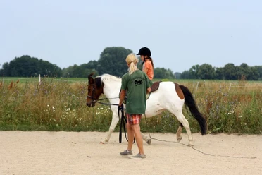 Reitunterricht an der Longe