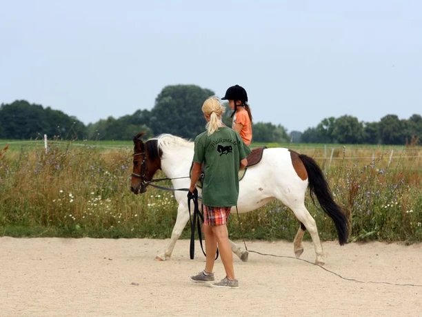 Reitunterricht an der Longe