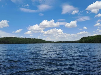 Angeln am Ufer des Springsees