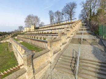 Winzerberg in Potsdam