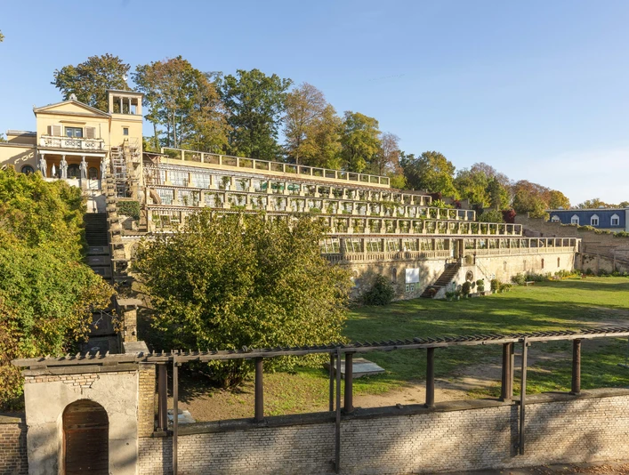 Winzerberg in Potsdam