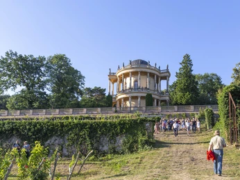Weinfest auf dem Königlichen Weinberg in Potsdam