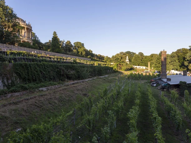 Königlicher Weinberg in Potsdam