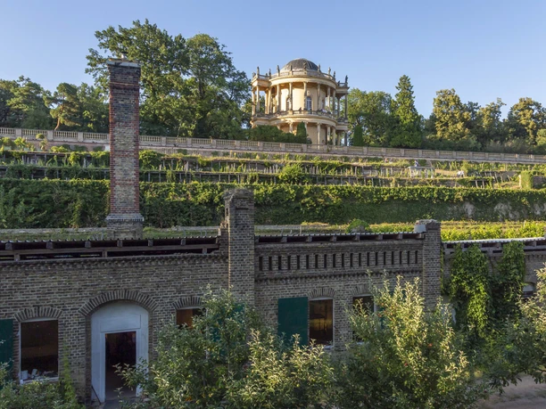 Königlicher Weinberg mit Belvedere Klausberg in Potsdam