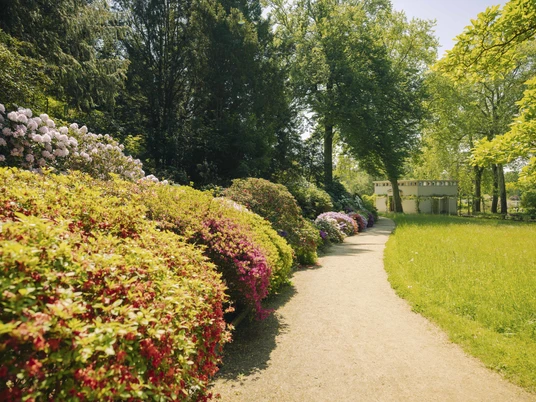 Paradiesgarten im Botanischen Garten