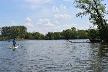 SUP auf dem Trebelsee