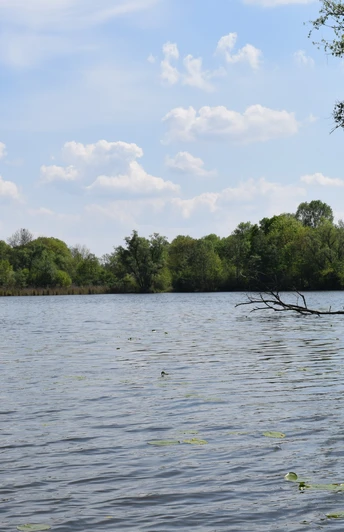 SUP auf dem Trebelsee