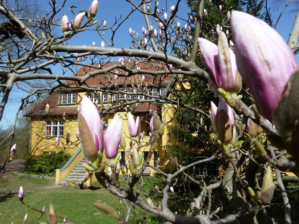 Vorderansicht "Das gelbe Haus"