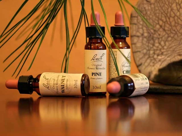 Naturheilpraxis Anja Scholze am Schwielowsee