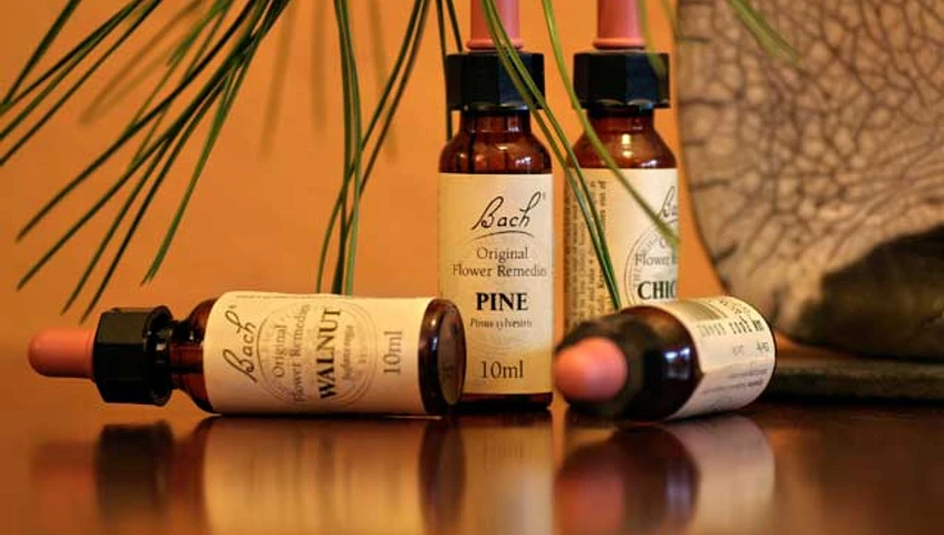 Naturheilpraxis Anja Scholze am Schwielowsee