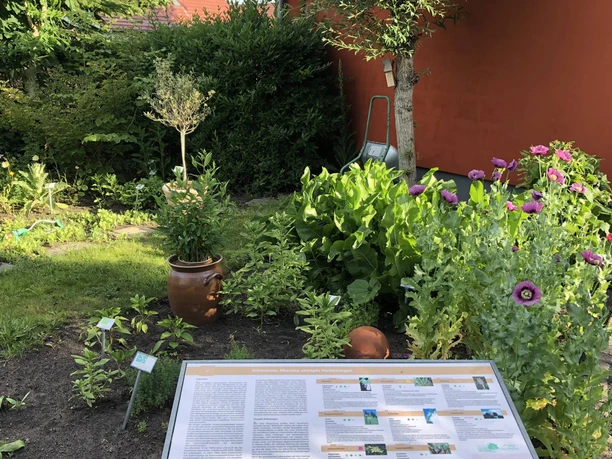 Apothekergarten