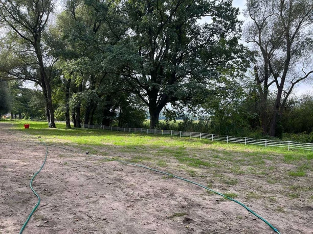 Zelt- und Wohnmobilfläche