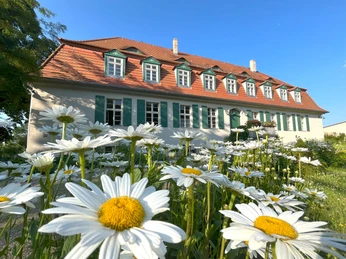 Gutshaus Lietzow Blumen