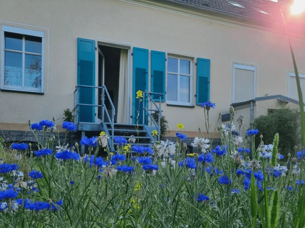 Ferienwohnung "Auszeit mini"