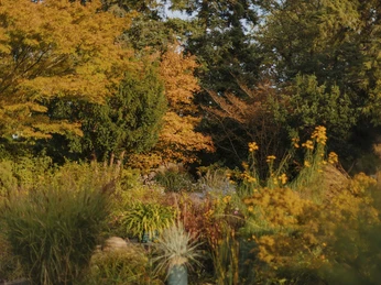 Karl-Foerster-Garten