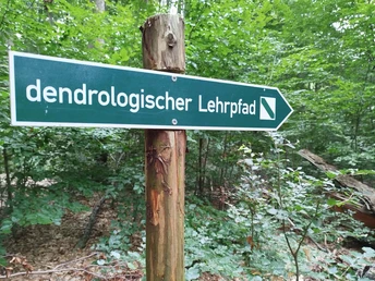 dendrologischer Lehrpfad