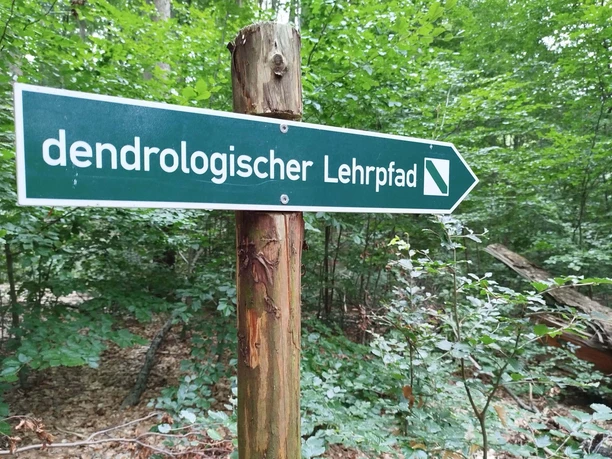 dendrologischer Lehrpfad