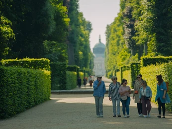 Hauptallee im Park Sanssouci