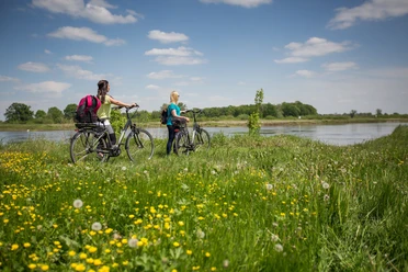 Oder-Neiße-Radweg