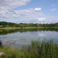 Nymphensee in Brieselang