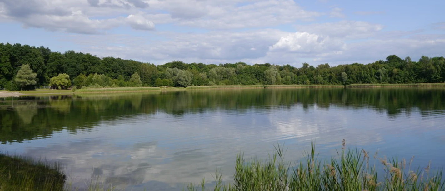 Nymphensee in Brieselang