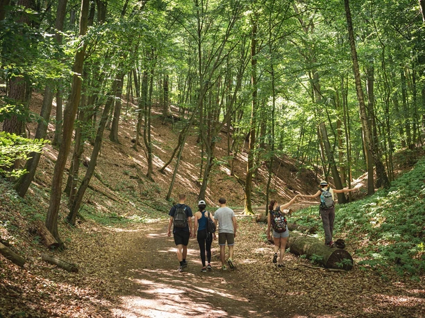 Natura Trail Märkischen Schweiz