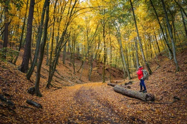 Natura Trail Märkischen Schweiz