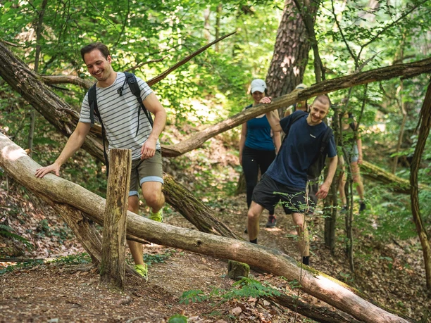 Natura Trail Märkischen Schweiz