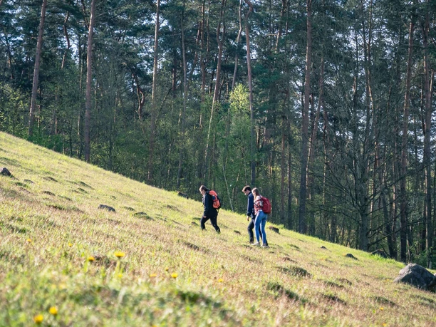 Zanders Grund Berg