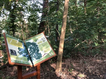 Waldpoesie-Pfad Erkner