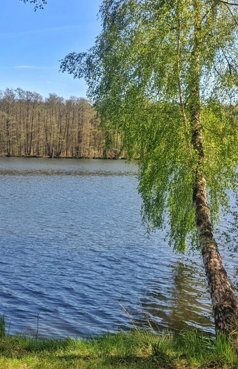 Am Emstaler Schlauch